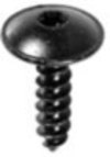 GM Torx  Truss Head Tapping Screw <br><font color=red><font size=2.5>GM: 13144822</font></font>
