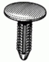 Nylon Retainer - Chrysler <br><font color=red><font size=2.5>Chrysler: 3861577</font></font>