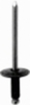 GM Specialty Rivet 3/16'' Diameter 5/8'' Flange Diameter <br><font color=red><font size=2.5>GM: 9439719 | Marson: 53130</font></font>