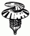 Trim Panel Retainer White Nylon <br><font color=red><font size=2.5>GM: 20451401</font></font>