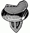 Mazda Door Panel Retainer 20MM Overall Length <br><font color=red><font size=2.5>Mazda: 992740821</font></font>