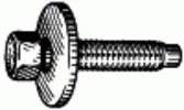 Hex Head Sems  Body Bolt M6-1.0 X 28MM <br><font color=red><font size=2.5>Ford: N606677S43B | N606677S53B</font></font>
