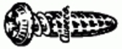 16531.jpg