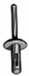 Nylon Rivet 1/4'' Hole Diameter 5/16-15/32'' Grip Black Chrysler: 4370138 | 6503860 Ford: N804675S