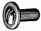 Slotted Washer Head License Plate Screw M6-1.0 X 16MM