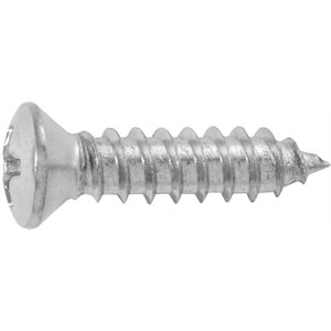 #10 * 3/4'' (#8 Head) Phillips Oval Head Tapping Screw - Chrome