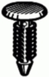 18770.jpg