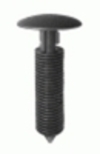 19354.jpg