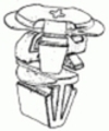 19616.jpg