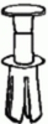 19854.jpg