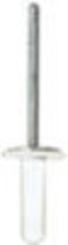 Lexus Specialty Rivet <br><font color=red><font size=2.5>Lexus: 9026905065</font></font>