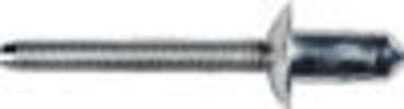 Ford Specialty Rivet All Steel Zinc & Clear Trivalent Ford: W707638S900C