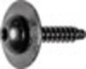 GM Torx  Pan Head Sems  T.S. W/Dog Point M4.2-1.41X20 17MM Whr T15 Drive <br><font color=red><font size=2.5>GM: 11570637</font></font>