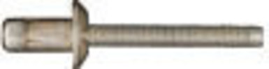 GM Specialty Rivet All Steel - Zinc Plated <br><font color=red><font size=2.5>GM: 11561334</font></font>