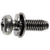 Thread Cutting Screw W/ Lock & Flat Sems M6-1.0 X 19MM