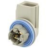 Ford Park Side Marker & Back Up Socket Ford: F81Z13411BA