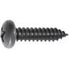 Phillips Pan Head Tapping Screw #14 X 1'' - Black