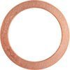 Copper Gasket M10 X M14