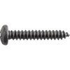 #10 X 1'' Phillips Pan Head Tapping Screw