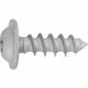 Torx Round Washer Head Tapping Screw BMW - Zinc