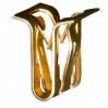 Pillar Trim Panel & Radiator Grille Fastener GM Chrysler - Yellow Zinc <br><font color=red><font size=2.5>GM: 11589329 <br>Chrysler: 6511238AA</font></font>