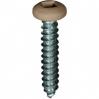 #6 X 3/4'' Square Drive Pan RV Tapping Screws Zinc - Tan Painted Head