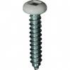 #6 X 3/4'' Square Drive Pan RV Tapping Screws Zinc - White Painted Head