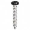 #6 X 1'' Square Drive Pan RV Tapping Screws Zinc - Black Painted Head