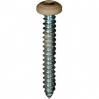 #6 X 1'' Square Drive Pan RV Tapping Screws Zinc - Tan Painted Head