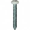 #6 X 1'' Square Drive Pan RV Tapping Screws Zinc - White Painted Head