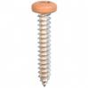 #8 X 3/4'' Square Drive Pan RV Tapping Screws Zinc - Tan Painted Head