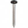 #8 X 1'' Square Drive Pan RV Tapping Screws Zinc - Black Painted Head