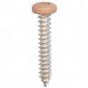 #8 X 1'' Square Drive Pan RV Tapping Screws Zinc - Tan Painted Head