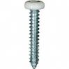 #8 X 1'' Square Drive Pan RV Tapping Screws Zinc - White Painted Head