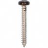 #8 X 1-1/4'' Square Drive Pan RV Tapping Screws Zinc - Black Painted Head