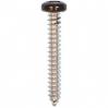 #8 X 1-1/4'' Square Drive Pan RV Tapping Screws Zinc - Black Painted Head