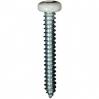 #8 X 1-1/4'' Square Drive Pan RV Tapping Screws Zinc - White Painted Head