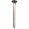 #8 X 1-1/2'' Square Drive Pan RV Tapping Screws Zinc - Black Painted Head