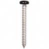 #8 X 1-1/2'' Square Drive Pan RV Tapping Screws Zinc - Black Painted Head