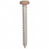 #8 X 1-1/2'' Square Drive Pan RV Tapping Screws Zinc - Tan Painted Head