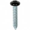 #10 X 1'' Square Drive Pan RV Tapping Screws Zinc - Black Painted Head