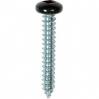 #10 X 1-1/4'' Square Drive Pan RV Tapping Screws Zinc - Black Painted Head