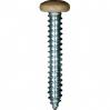 #10 X 1-1/4'' Square Drive Pan RV Tapping Screws Zinc - Tan Painted Head