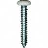 #10 X 1-1/4'' Square Drive Pan RV Tapping Screws Zinc - White Painted Head