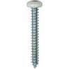 #10 X 1-1/2'' Square Drive Pan RV Tapping Screws Zinc - White Painted Head