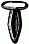 GM Door Flange Weatherstrip Retainer GM: 4801268 | GM: 8731909