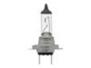 Industry Standard H7 Bulb