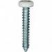 #8 X 1'' Square Drive Pan RV Tapping Screws Zinc - White Painted Head