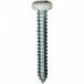 #8 X 1-1/4'' Square Drive Pan RV Tapping Screws Zinc - White Painted Head