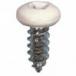 #10 X 1/2'' Square Drive Pan RV Tapping Screws Zinc - White Painted Head